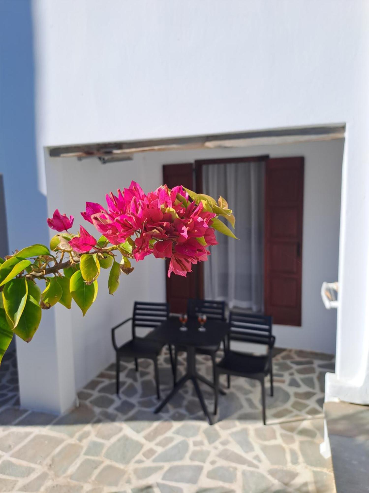 Anemomilos Beach Hotel Agia Anna  Bagian luar foto